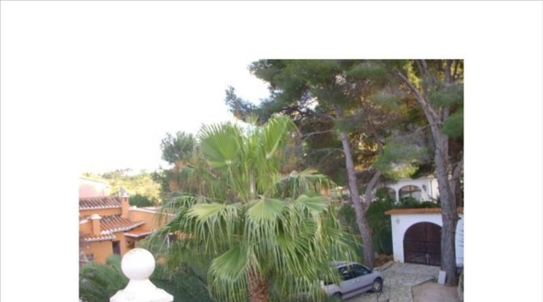 Alicante - Дения - 2600m2