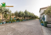 Chalet independiente con terreno en venta en la España, Alfacar, ref: TR269220 foto