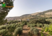 Chalet independiente con terreno en venta en la España, Alfacar, ref: TR269220 foto