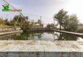 Chalet independiente con terreno en venta en la España, Alfacar, ref: TR269220 foto