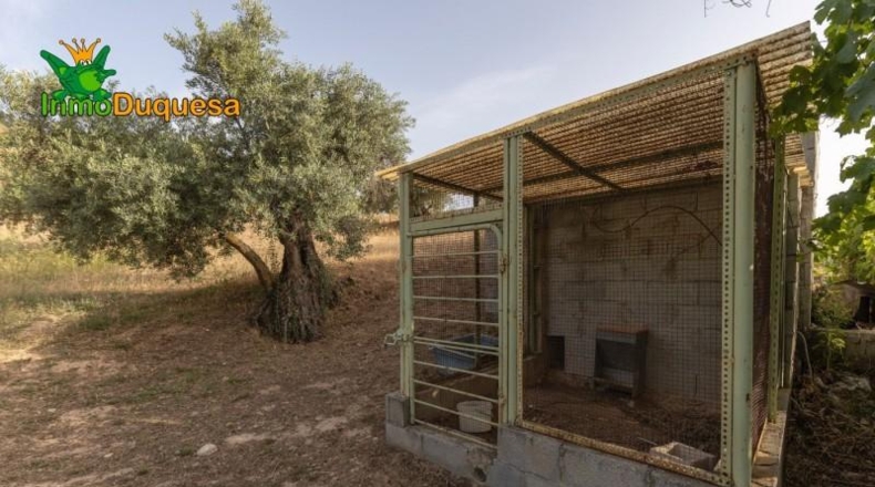 Granada - Alfacar - 7000m2