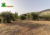 Chalet independiente con terreno en venta en la España, Alfacar, ref: TR269220 foto