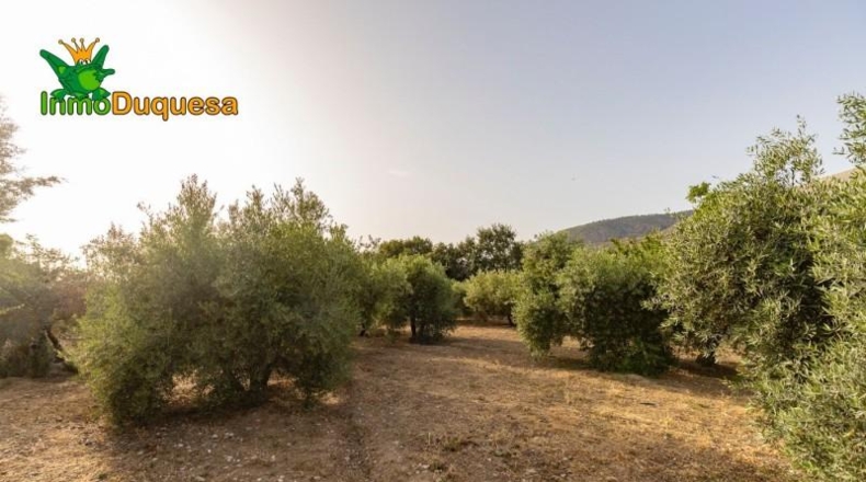 Granada - Alfacar - 7000m2