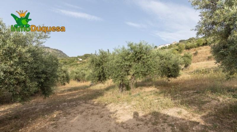 Granada - Alfacar - 7000m2