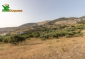 Chalet independiente con terreno en venta en la España, Alfacar, ref: TR269220 foto