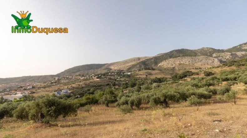 Granada - Alfacar - 7000m2