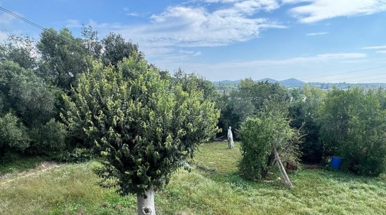 Barcelona - Tordera - 650m2
