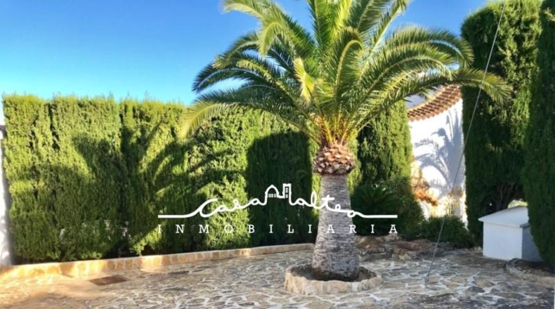 Alicante - Calpe - 1200m2