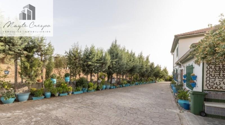 Granada - Alfacar - 7000m2