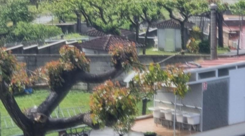 Pontevedra - Sangenjo - 632m2