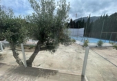 Отдельно стоящий дом с участком на продажу в городе Dénia Фото