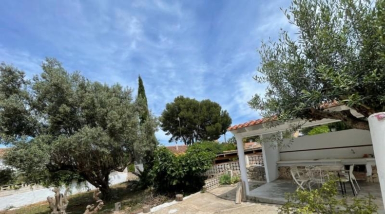 Аликанте - Denia - 1436m2