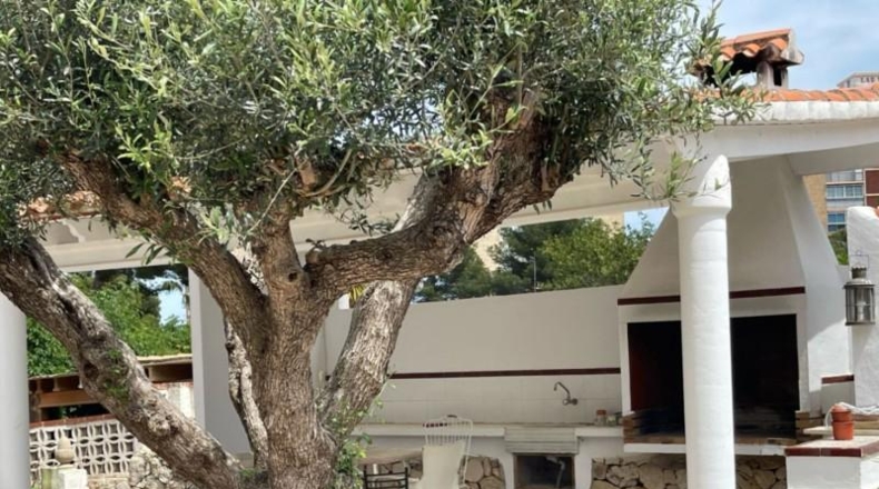 Аликанте - Denia - 1436m2
