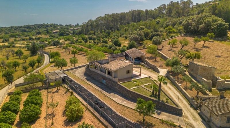 Islas Baleares - Selva - 17581m2