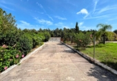 Xalet independent amb terreny en venda a la España, Dénia, ref.: TR321148 foto