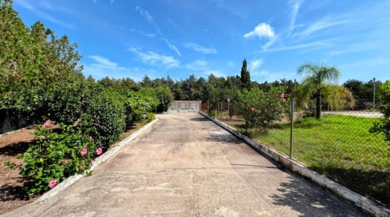 Alicante - Dénia - 10000m2