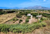 Xalet independent amb terreny en venda a la España, Dénia, ref.: TR321148 foto