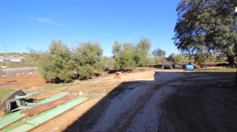 Málaga - Ronda - 39000m2