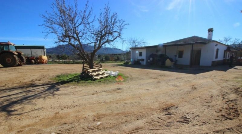 Málaga - Ronda - 39000m2