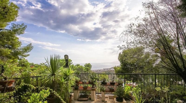 Málaga - Málaga - 1300m2