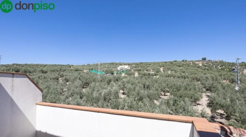 Granada - Montefrío - 8500m2