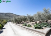 Casa de camp amb terreny en venda a la España, Montefrío, ref.: TR239175 foto