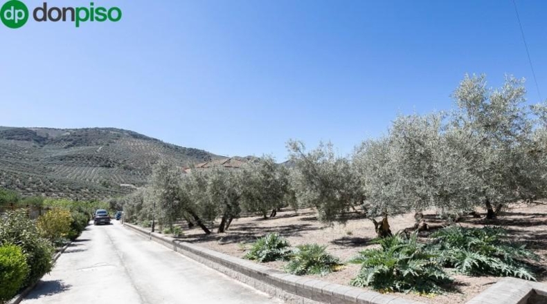 Granada - Montefrío - 8500m2