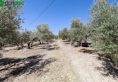 Casa de camp amb terreny en venda a la España, Montefrío, ref.: TR239175 foto