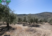 Casa de camp amb terreny en venda a la España, Montefrío, ref.: TR239175 foto