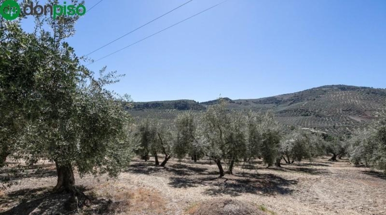 Granada - Montefrío - 8500m2