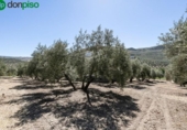 Casa de camp amb terreny en venda a la España, Montefrío, ref.: TR239175 foto