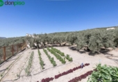 Casa de camp amb terreny en venda a la España, Montefrío, ref.: TR239175 foto