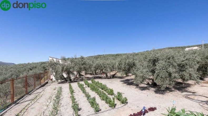 Granada - Montefrío - 8500m2