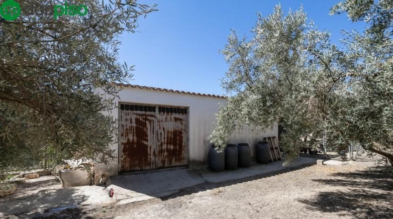 Granada - Montefrío - 8500m2