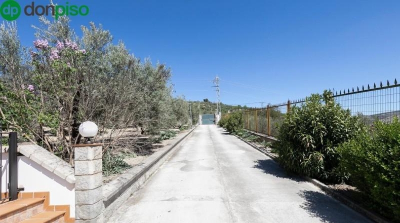 Granada - Montefrío - 8500m2