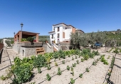 Casa de camp amb terreny en venda a la España, Montefrío, ref.: TR249376 foto