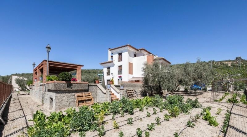 Granada - Montefrío - 8500m2