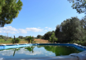 Xalet independent amb terreny en venda a la España, Campos, ref.: TR136957 foto