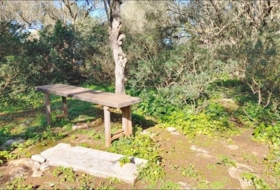 Foto 14
