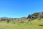 House with land for sale on España, Felanitx, ref: TR287729 photo