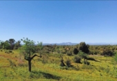 House with land for sale on España, Felanitx, ref: TR287729 photo