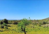 House with land for sale on España, Felanitx, ref: TR287729 photo