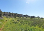 House with land for sale on España, Felanitx, ref: TR287729 photo