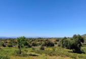 House with land for sale on España, Felanitx, ref: TR287729 photo