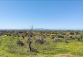 House with land for sale on España, Felanitx, ref: TR287729 photo