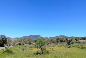 Foto 14