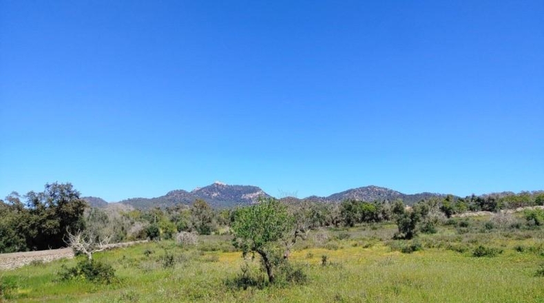 Illes Balears - Felanitx - 23000m2