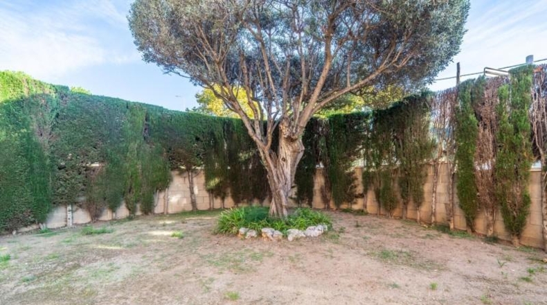 Barcelona - el Masnou - 300m2