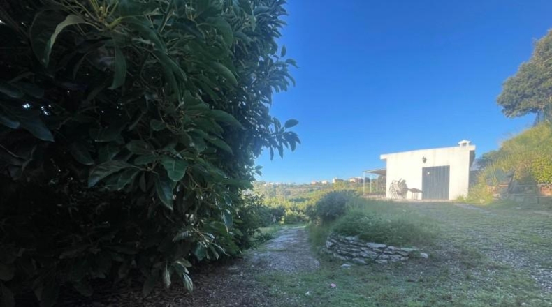 Málaga - Estepona - 12200m2