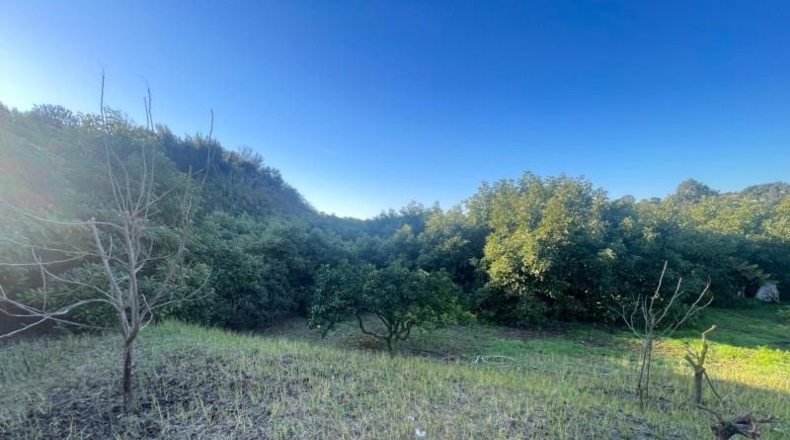Málaga - Estepona - 12200m2